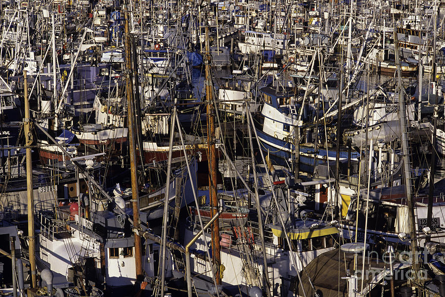 Fishing boats at Fishermens terminal Photograph by Jim Corwin