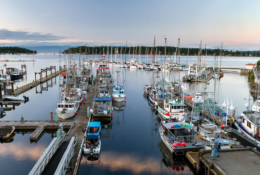 Fishing Boats at Nanaimo Harbour Photograph by Michael Russell