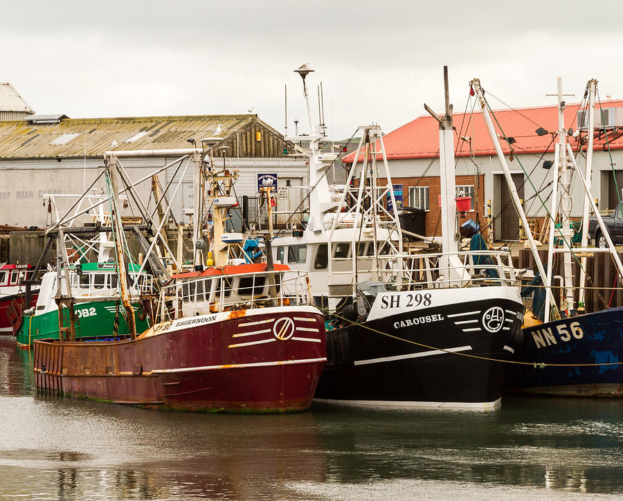 Fishing Boats At Scarborough Photograph by Dave Lee