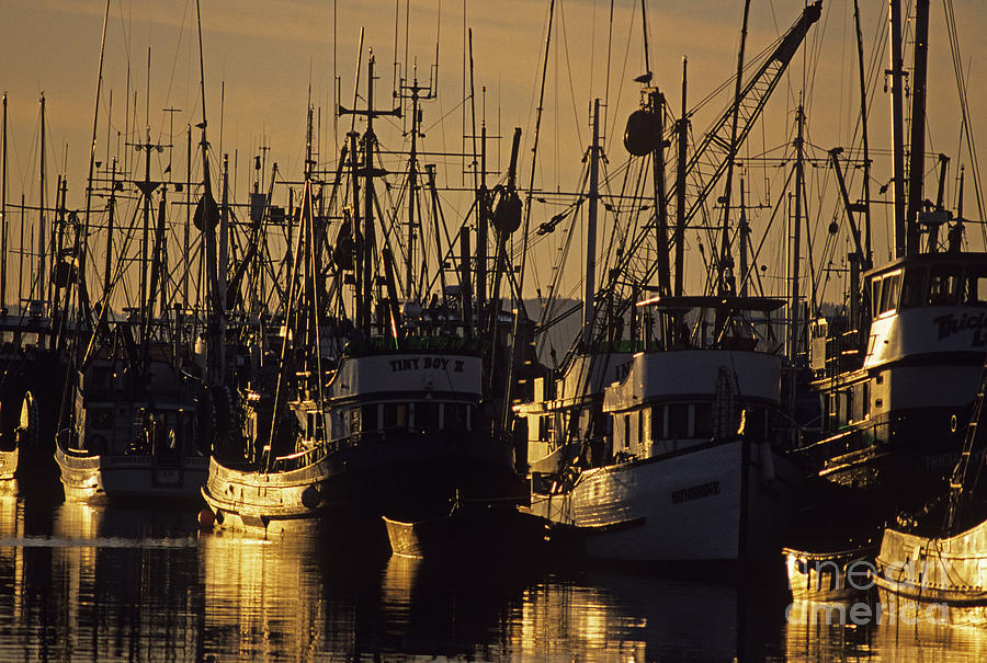 Fishing Boats at Sunset Photograph by Jim Corwin