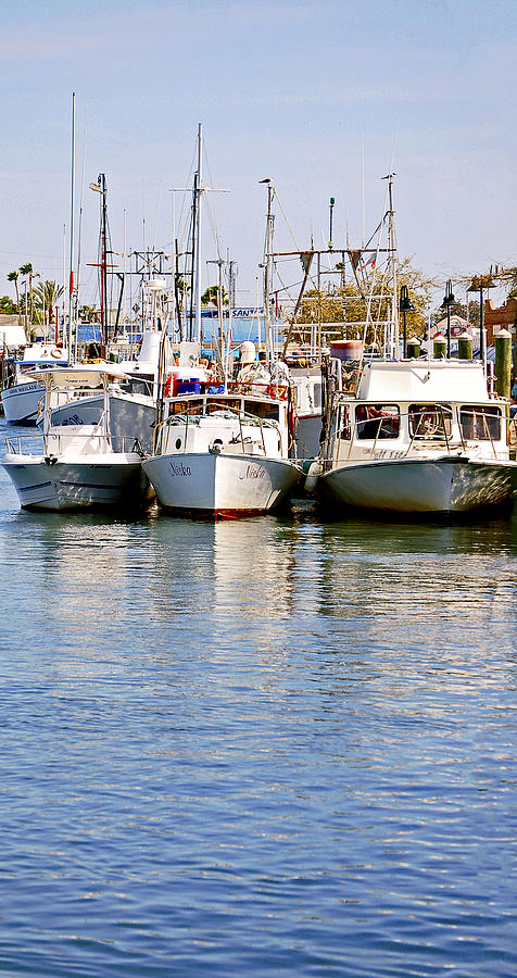 Fishing Boats Photograph by Donna Proctor