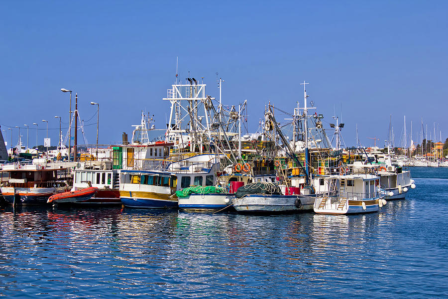 Fishing boats fleet in Harbor Photograph by Brch Photography