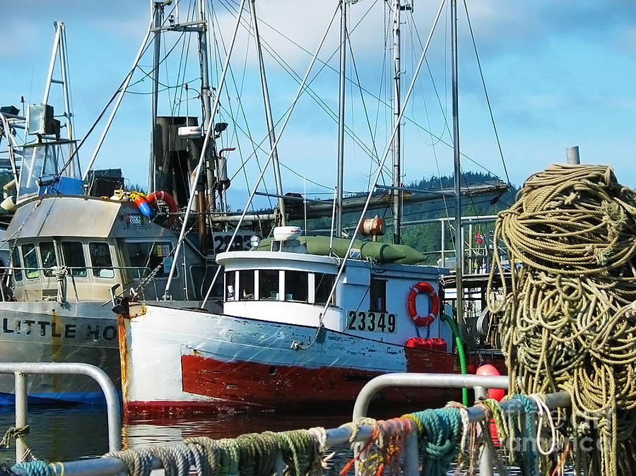 Fishing Boats Harbor Scene Photograph by Sue Harper - Fine Art America