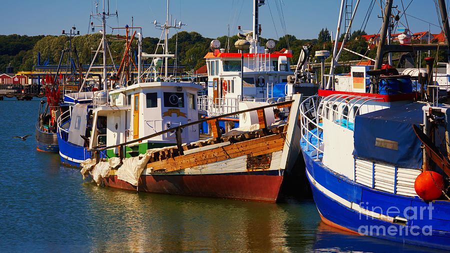 Fishing boats in a harbor Photograph by Nick  Biemans