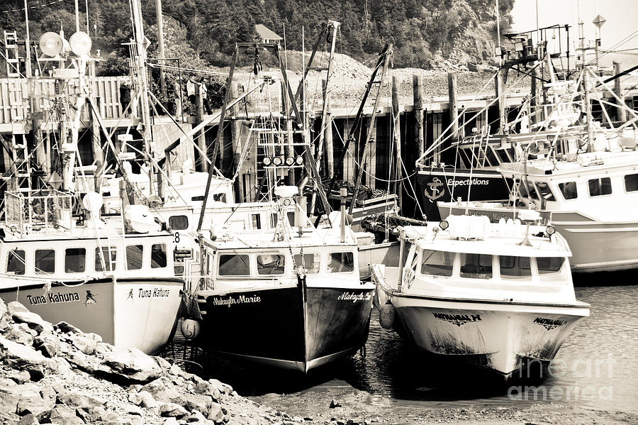 Fishing boats in Alma Photograph by Cheryl Baxter