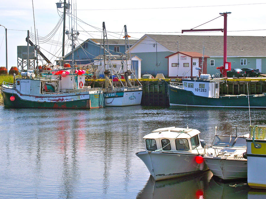 Fishing Boats In Branch-nl Photograph by Ruth Hager