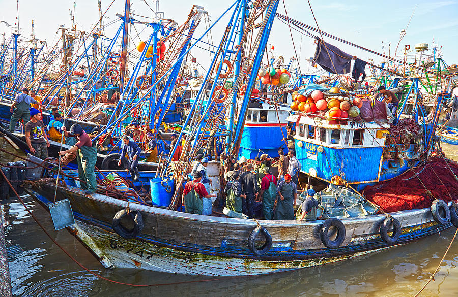Fishing Boats In The Harbour At Essaouira In Morocco Photograph by Laurence Delderfield Fishing Boats In The Harbour At Essaouira In Morocco Photograph by Laurence Delderfield