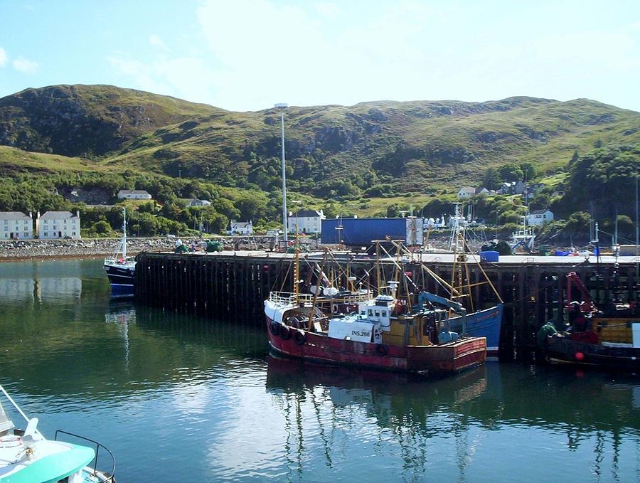 Fishing Boats Mallaig Harbour Scotland Photograph By Bill Lighterness