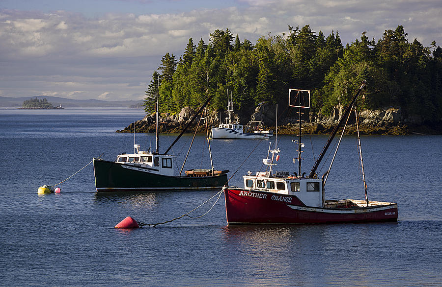 Fishing Boats Moored Photograph by Marty Saccone