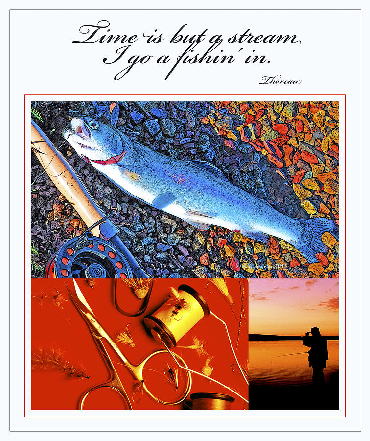 Fishing Collage Digital Art Photograph by A Macarthur Gurmankin