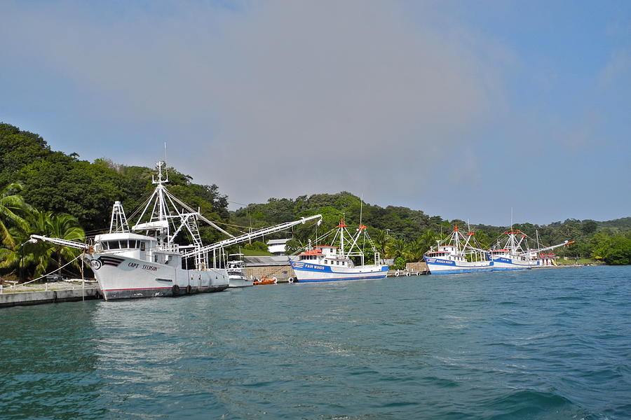 Fishing Fleet in Mahogany Bay Photograph by Kirsten Giving