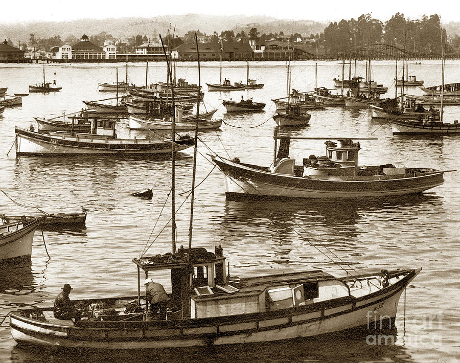Pier Photograph - Fishing fleet in Santa Cruz Harbor California circa 1920 by Monterey County Historical Society