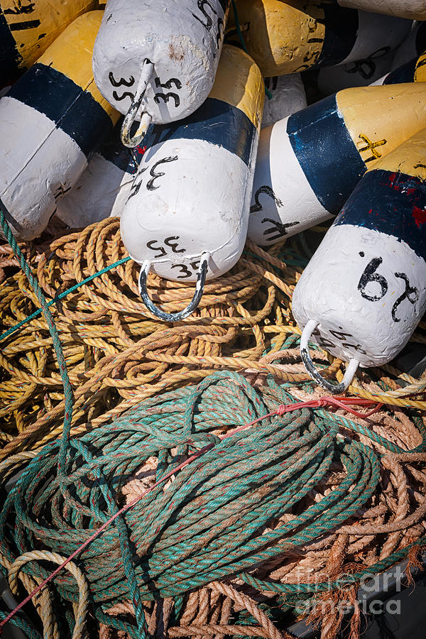 Floats Photograph - Fishing Floats And Rope by Elena Elisseeva Floats Photograph - Fishing Floats And Rope by Elena Elisseeva