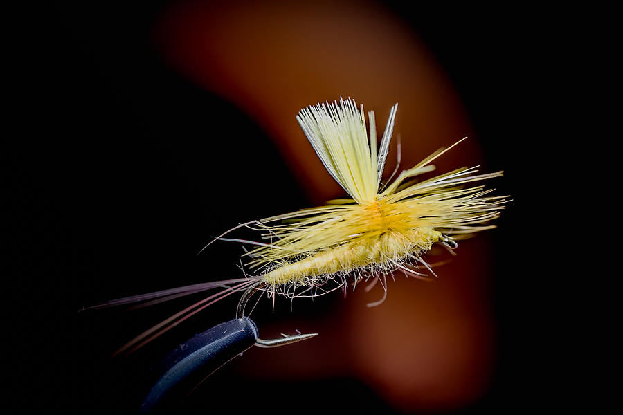 Fishing Fly #2 Photograph by Jim DeLillo