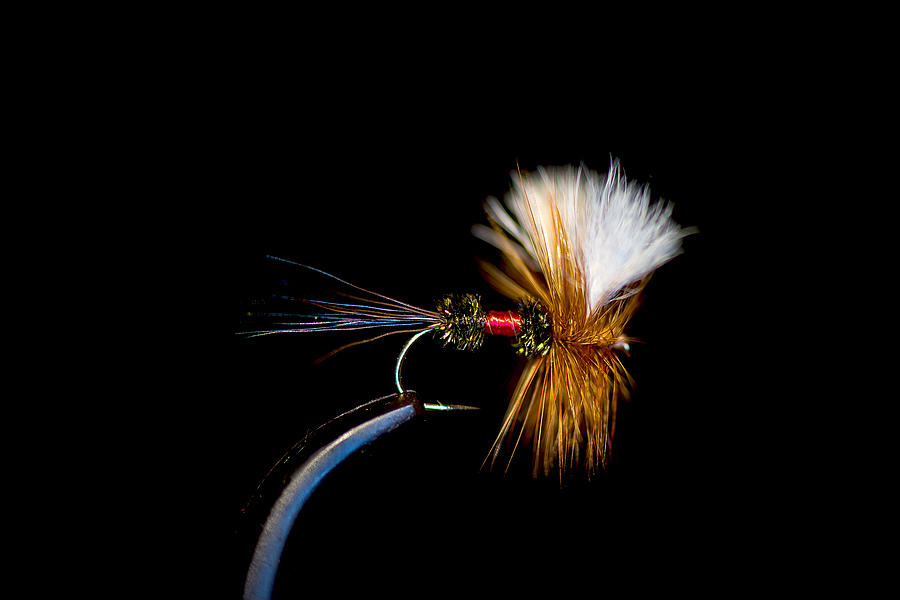 Fishing Fly Photograph by Jim DeLillo