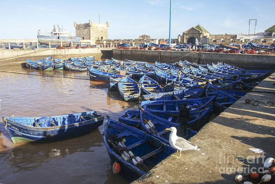 Boat Photograph - Fishing Harbour Essaouira 2 by Ruth Hofshi