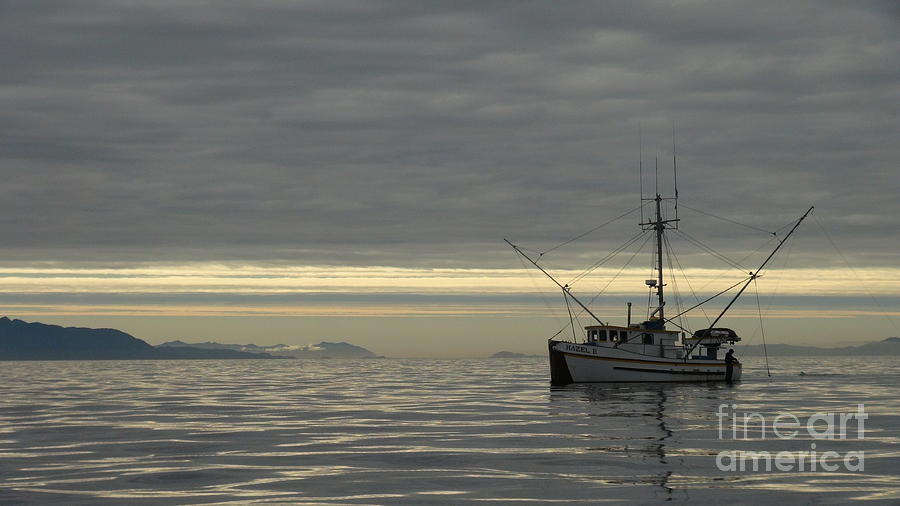 Fishing in Alaska Photograph by Laura  Wong-Rose