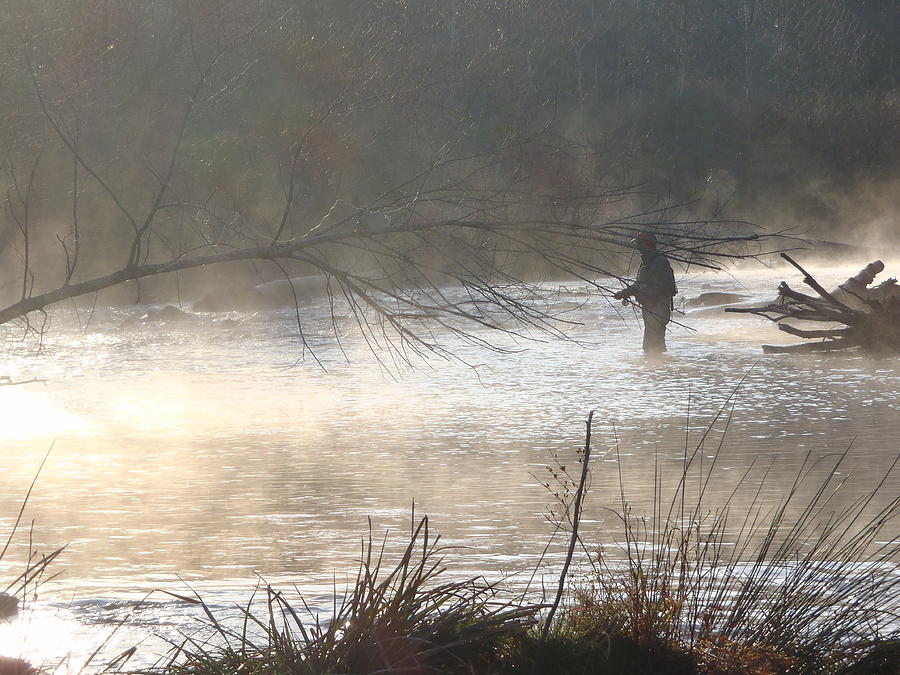 Beavers Bend Photograph - Fishing in the Early Morning Mist by Philip Rispin