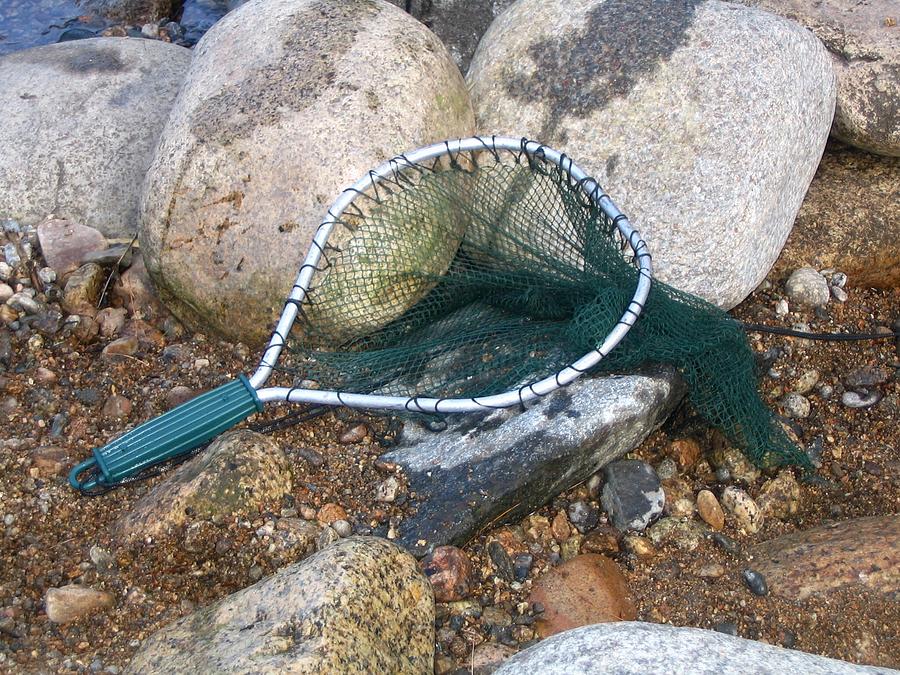 Fishing Net Photograph by Kerri Mortenson