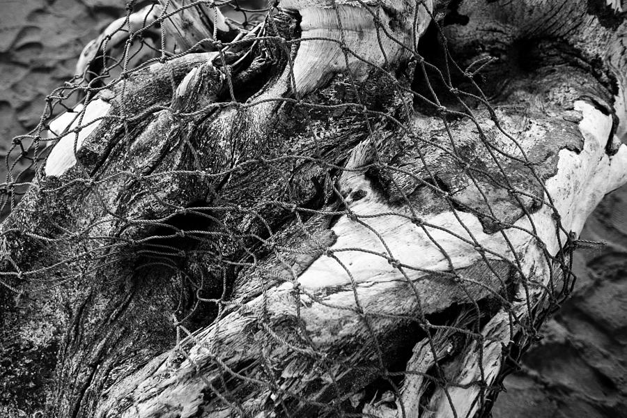 Fishing Net on Driftwood Photograph by John Magyar Photography