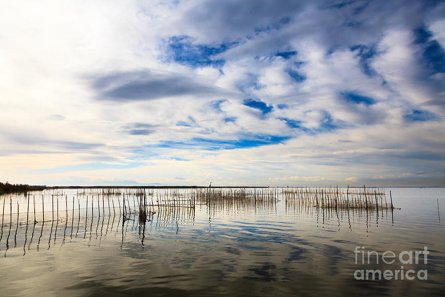 Fishing nets amongst reeds on Lake Albufera Photograph by Peter Noyce