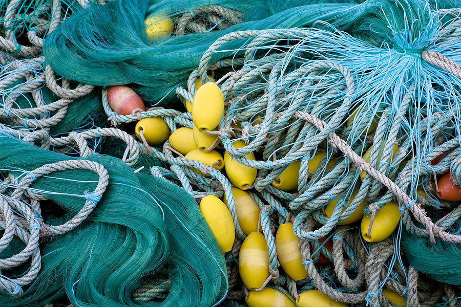 Fishing Nets Photograph by Frank Tschakert