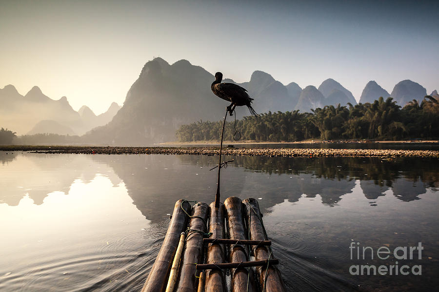 Fishing on Li river Photograph by Matteo Colombo