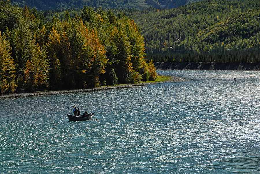 Fishing on the Kenai River Photograph by Dyle   Warren