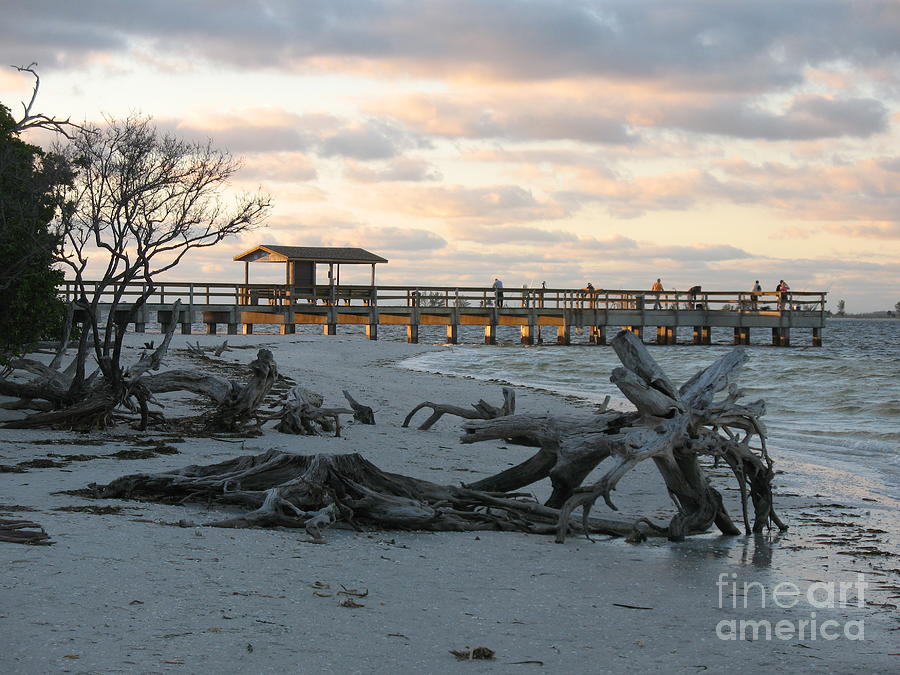 Fishing Pier And Driftwood Photograph by Christiane Schulze Art And Photography
