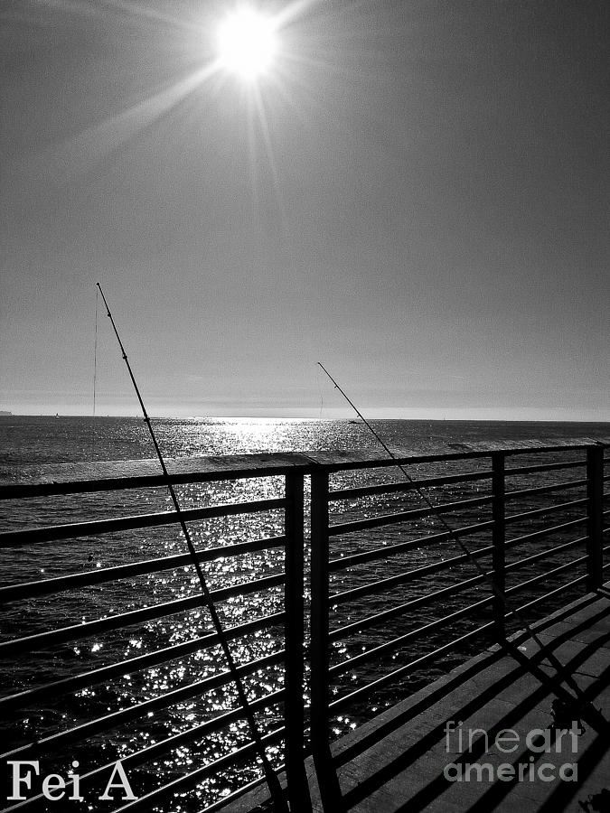 Fishing Poles Photograph by Fei A
