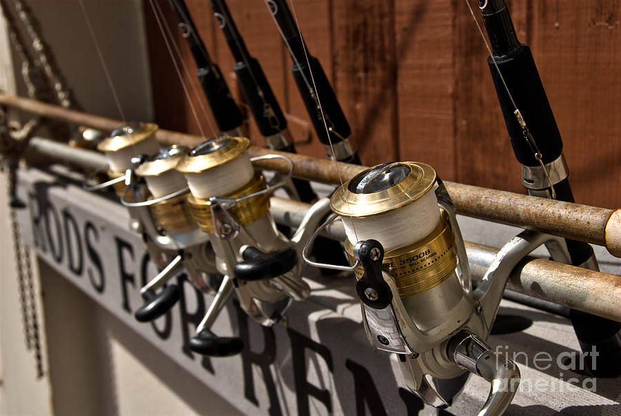 Fish Photograph - Fishing Rods for Rent by Amy Cicconi
