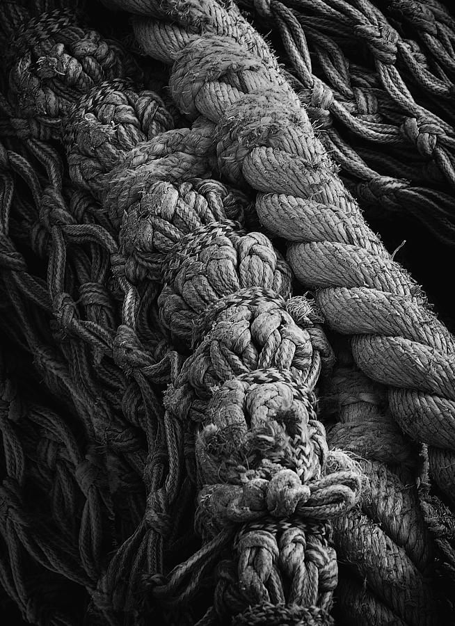 Fishing Ropes Photograph by Bobbie Turner
