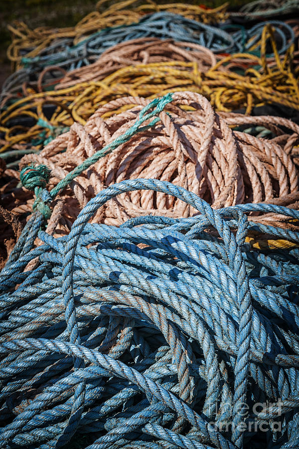 Fishing ropes 2 Photograph by Elena Elisseeva