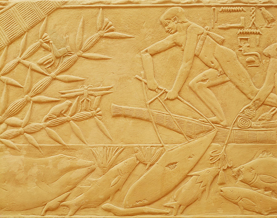 Fish Photograph - Fishing Scene, From The Mastaba Of Kagemni, Old Kingdom Limestone by Egyptian 6th Dynasty