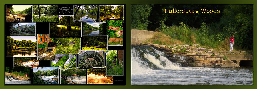 Fishing The Spillway Fullersburg Woods Collage 2 Panel Photograph by Thomas Woolworth