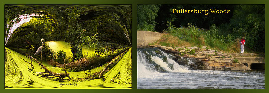 Tree Photograph - Fishing The Spillway Under The Canopy Fullersburg Woods 2 Panel by Thomas Woolworth