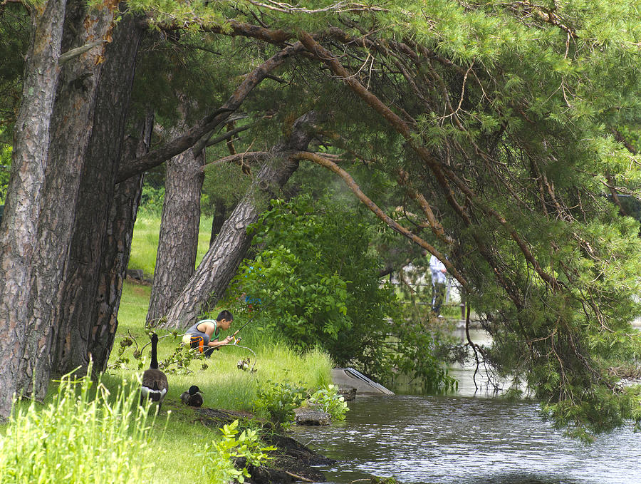 Fishing Under a Pine Tree Photograph by Lynn Hansen