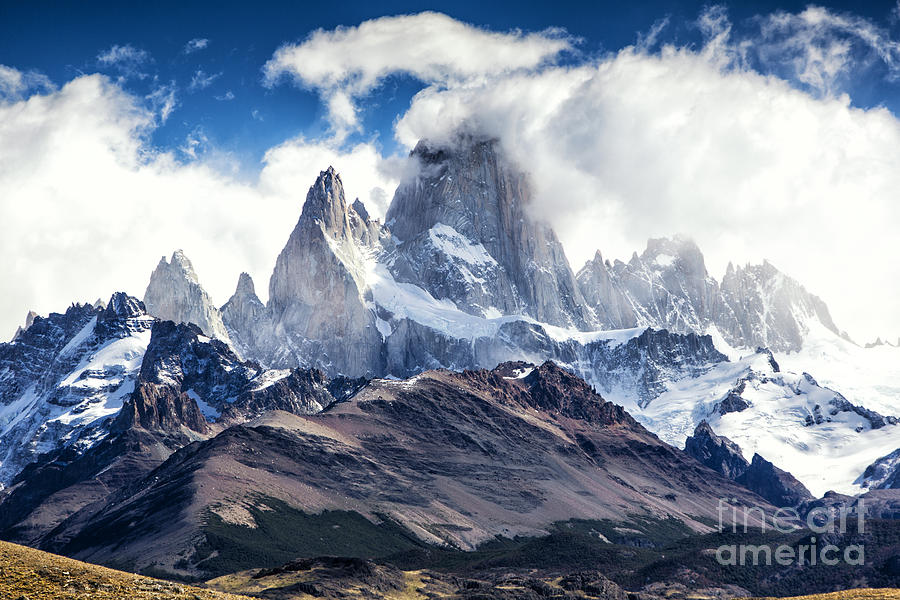 looking for wild fitz roy