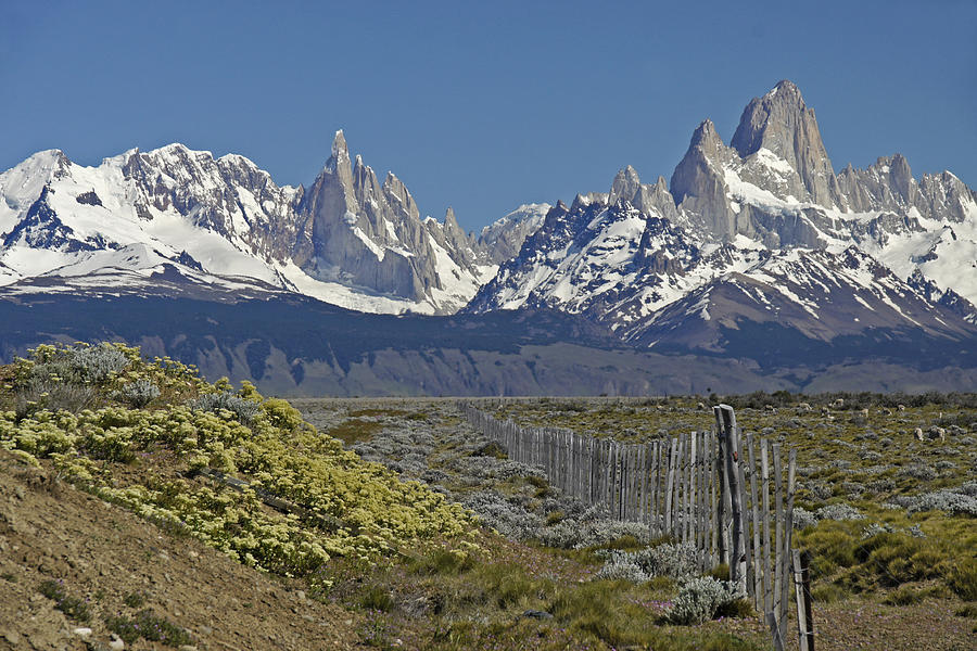 Fitz Roy Range in Springtime 1 Photograph by Michele Burgess