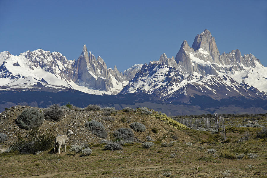 Mountain Photograph - Fitz Roy Range in Springtime 2 by Michele Burgess