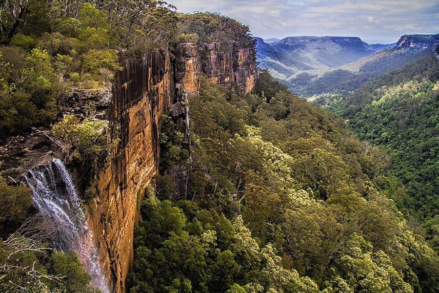 Nature Photograph - Fitzroy Falls in Kangaroo Valley Australia by David Smith