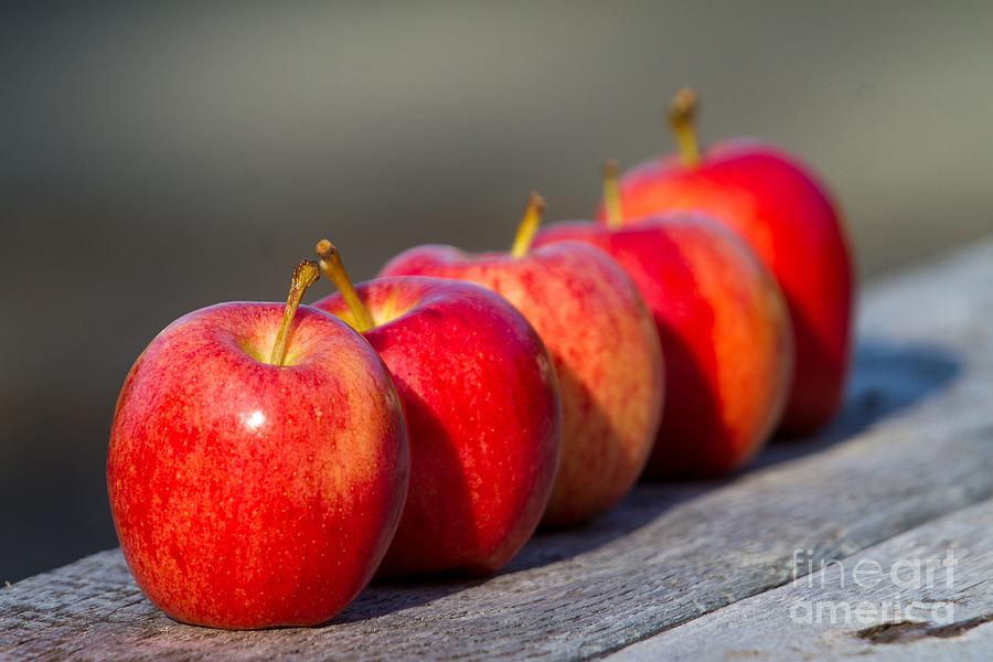 Five Apples  Photograph by John Harmon