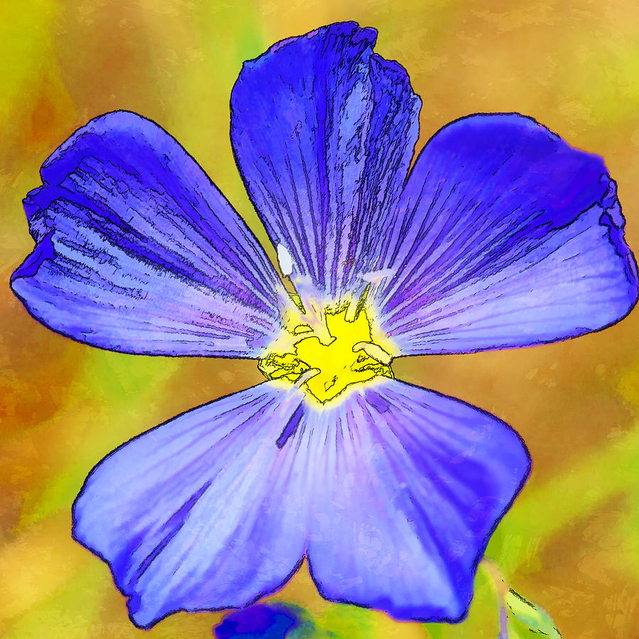 Five Blue Petals Photograph by Jerry Nettik
