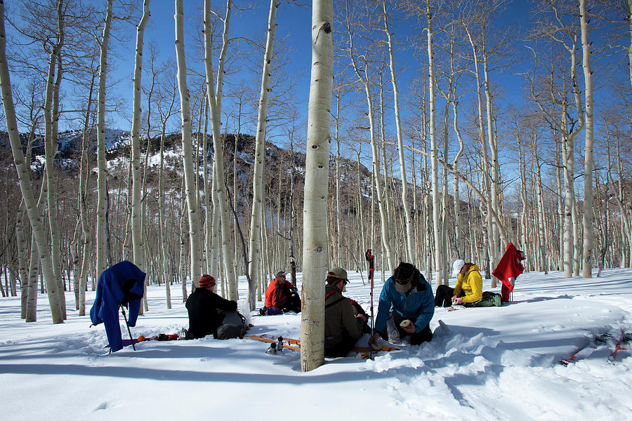Winter Photograph - Five Men Sitting In The Snow And Aspen by Trevor Clark
