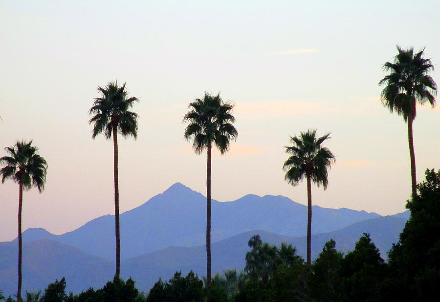 Mountain Photograph - Five Palms by Randall Weidner