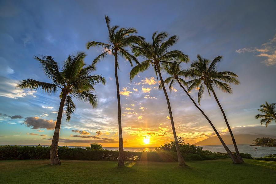 Five Palms Sunset Photograph by Pierre Leclerc Photography