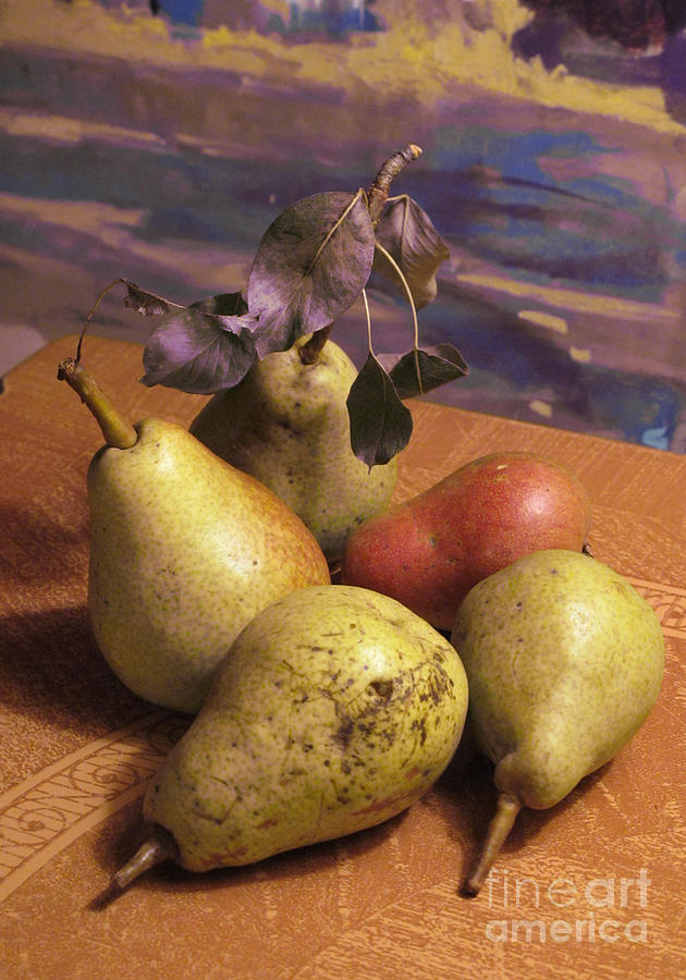 Five Pears Photograph