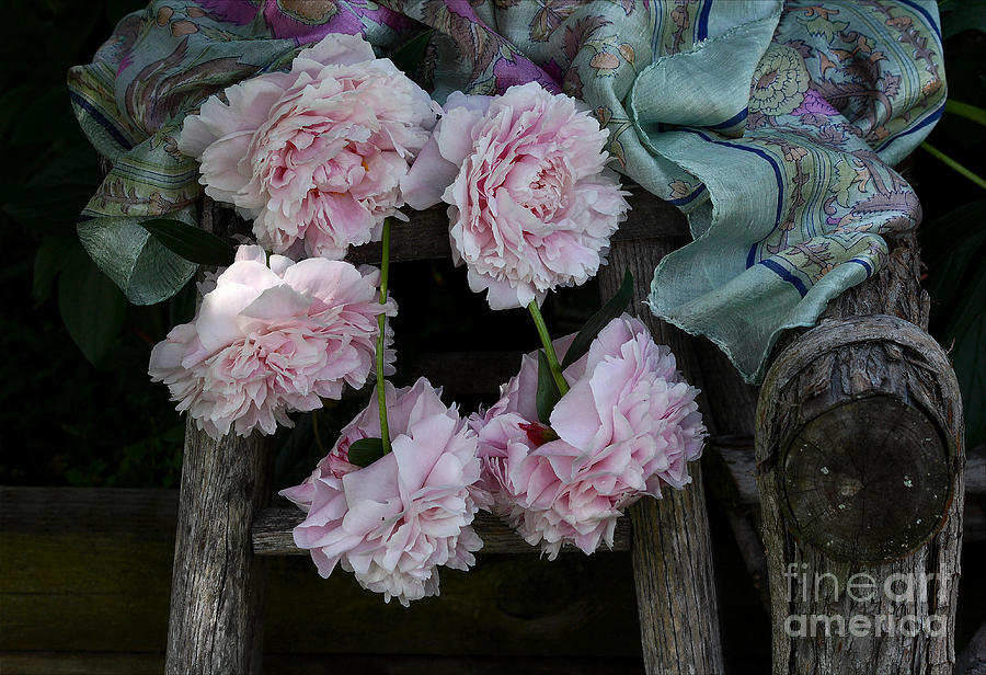 Flower Photograph - Five Pink Peonies and a Scarf by Luv Photography