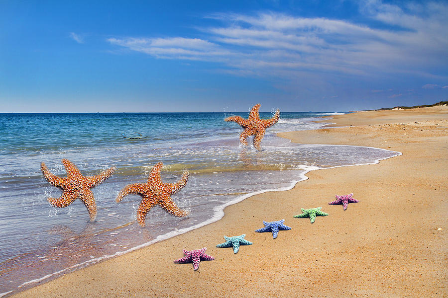 Inspirational Photograph - Five Star Beach Yippe Yah by Betsy Knapp