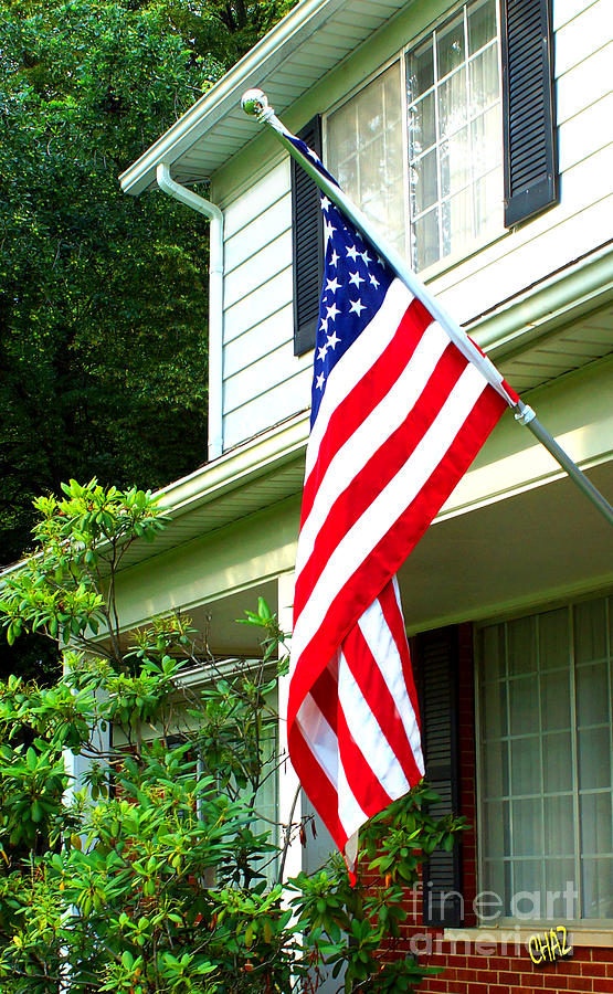 Flag Day Photograph by CHAZ Daugherty